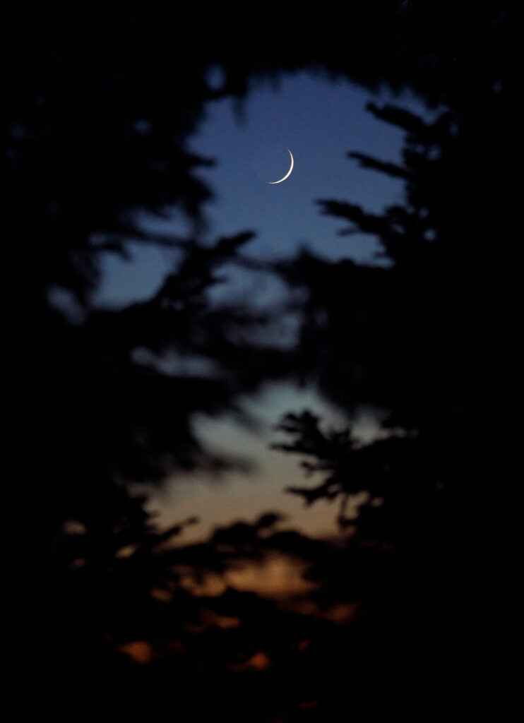 night sky with moon